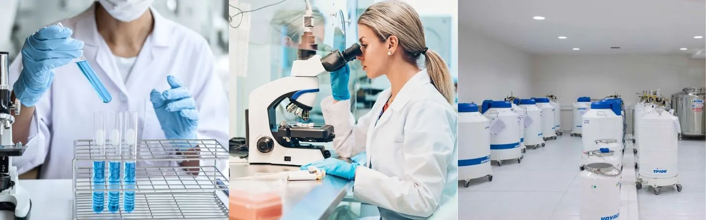 έρευνα και κρυοσυντήρηση